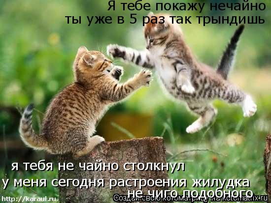 Я тебе покажу нечайно ты уже в 5 раз так трындишь у меня сегодня растроения жилудка я тебя не чайно с... Котоматрица: Я тебе покажу нечайно ты уже в 5 раз так трындишь у меня сегодня растроения жилудка я тебя не чайно столкнул не чиго подобного