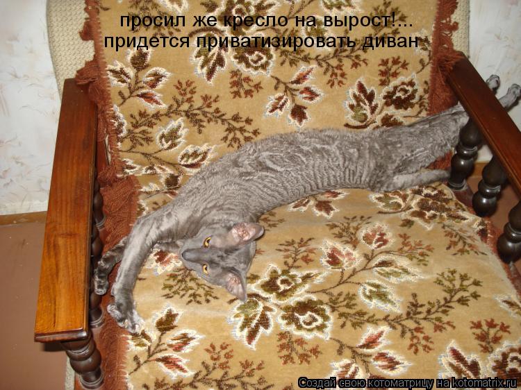 просил же кресло на вырост!... придется приватизировать диван просил же кресло на вырост!... придетс... Котоматрица: просил же кресло на вырост!... придется приватизировать диван просил же кресло на вырост!... придется приватизировать диван