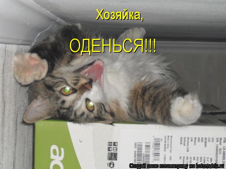 Хозяйка, ОДЕНЬСЯ!!!... Котоматрица: Хозяйка, ОДЕНЬСЯ!!!