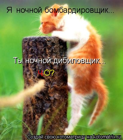 Я ночной бомбардировщик... Ты ночной дибиловщик... Ч О?... Котоматрица: Я ночной бомбардировщик... Ты ночной дибиловщик... Ч О?