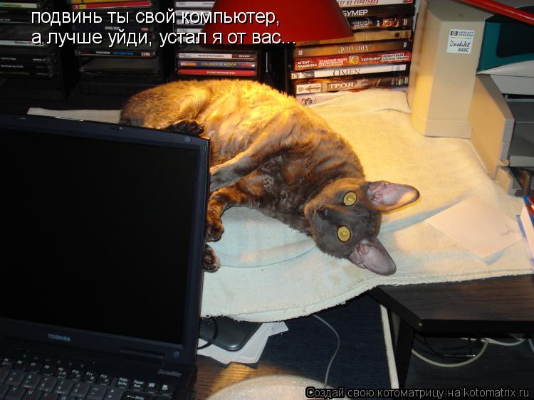 подвинь ты свой компьютер, а лучше уйди, устал я от вас...... Котоматрица: подвинь ты свой компьютер, а лучше уйди, устал я от вас...