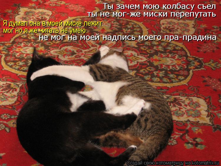 Ты зачем мою колбасу съел Я думал она в моей миске лежит ты не мог-же миски перепутать мог но я же чи... Котоматрица: Ты зачем мою колбасу съел Я думал она в моей миске лежит ты не мог-же миски перепутать мог но я же читать не умею не мог на моей надпись моего