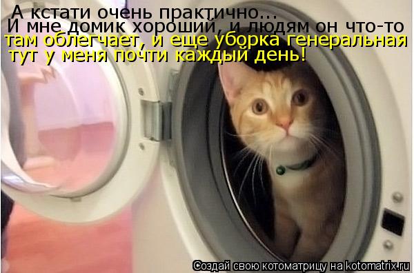 А кстати очень практично... И мне домик хороший, и людям он что-то там облегчает, и еще уборка генера... Котоматрица: А кстати очень практично... И мне домик хороший, и людям он что-то там облегчает, и еще уборка генеральная тут у меня почти каждый день!