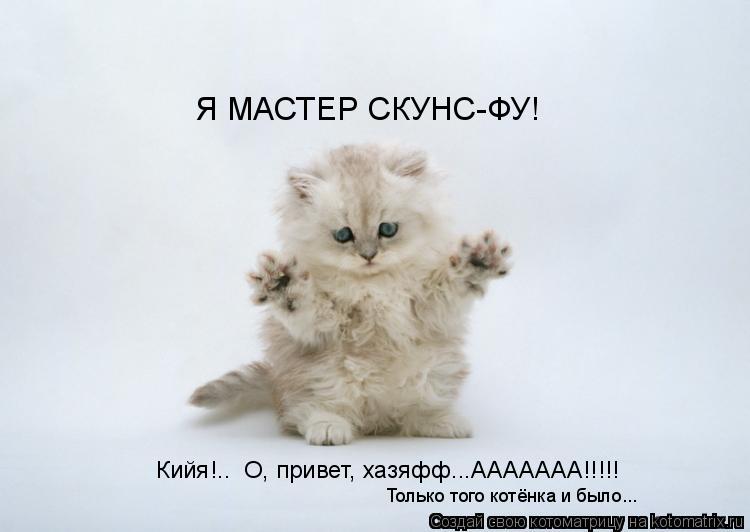 Я МАСТЕР СКУНС-ФУ! Кийя!.. О, привет, хазяфф...ААААААА!!!!! Только того котёнка и было...... Котоматрица: Я МАСТЕР СКУНС-ФУ! Кийя!.. О, привет, хазяфф...ААААААА!!!!! Только того котёнка и было...