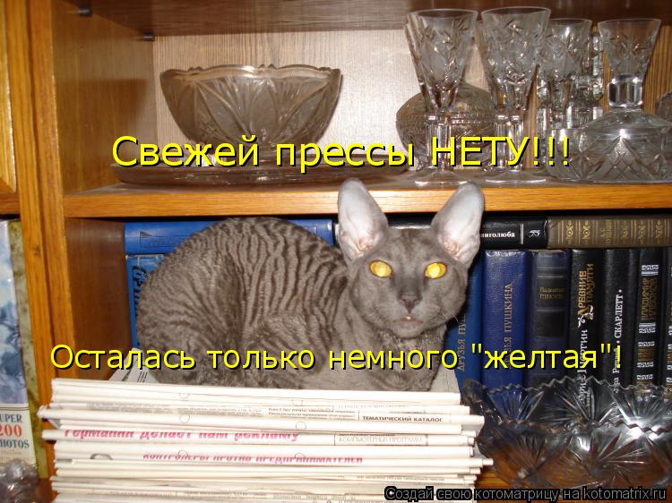 Свежей прессы НЕТУ!!! Осталась только немного "желтая"!... Котоматрица: Свежей прессы НЕТУ!!! Осталась только немного "желтая"!