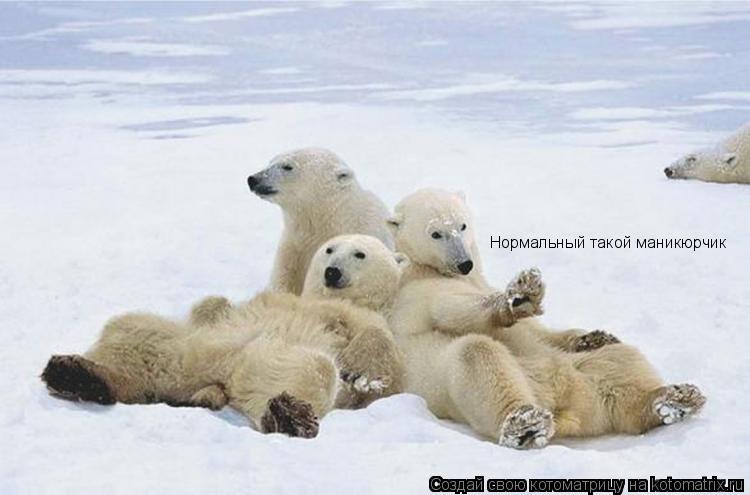 Нормальный такой маникюрчик... Котоматрица: Нормальный такой маникюрчик