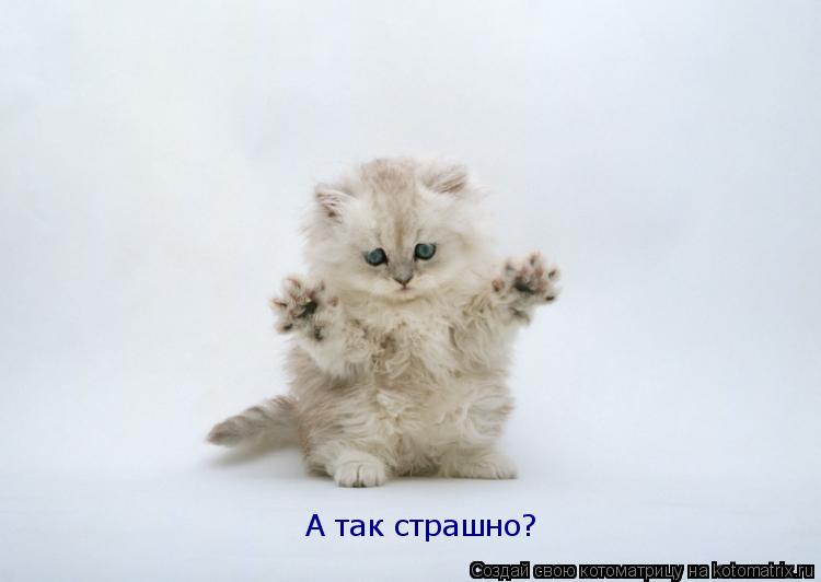 А так страшно?... Котоматрица: А так страшно?