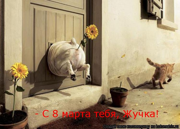- C 8 марта тебя, Жучка!... Котоматрица: - C 8 марта тебя, Жучка!