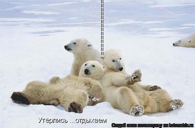 ================ Утёрлись ...отдыхаем... Котоматрица: ================ Утёрлись ...отдыхаем
