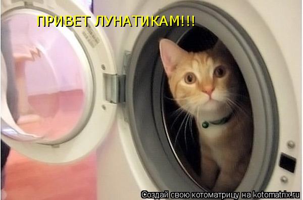 ПРИВЕТ ЛУНАТИКАМ!!!... Котоматрица: ПРИВЕТ ЛУНАТИКАМ!!!
