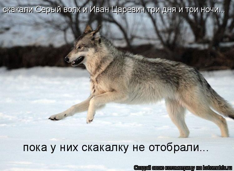 скакали Серый волк и Иван Царевич три дня и три ночи... пока у них скакалку не отобрали...... Котоматрица: скакали Серый волк и Иван Царевич три дня и три ночи... пока у них скакалку не отобрали...