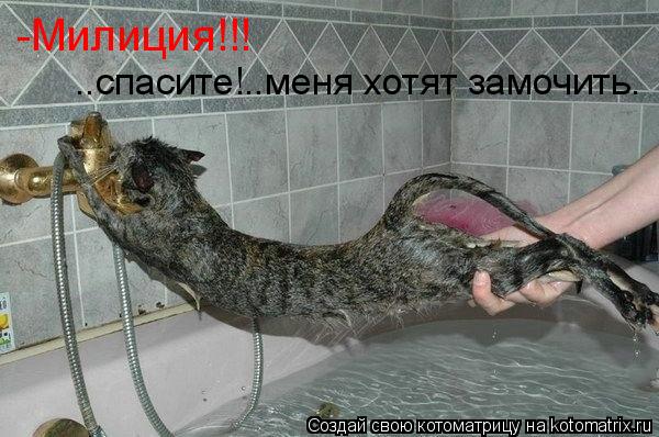 -Милиция!!! ..спасите!..меня хотят замочить.... Котоматрица: -Милиция!!! ..спасите!..меня хотят замочить.