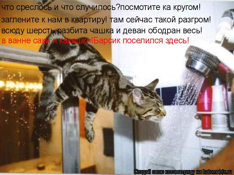 что среслось и что случилось?посмотите ка кругом! заглените к нам в квартиру! там сейчас такой разгро... Котоматрица: что среслось и что случилось?посмотите ка кругом! заглените к нам в квартиру! там сейчас такой разгром! всюду шерсть,разбита чашка и деван о