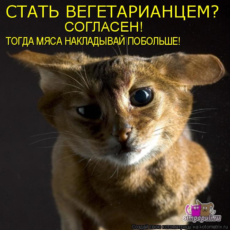 СОГЛАСЕН! СТАТЬ ВЕГЕТАРИАНЦЕМ? ТОГДА МЯСА НАКЛАДЫВАЙ ПОБОЛЬШЕ!... Котоматрица: СОГЛАСЕН! СТАТЬ ВЕГЕТАРИАНЦЕМ? ТОГДА МЯСА НАКЛАДЫВАЙ ПОБОЛЬШЕ!