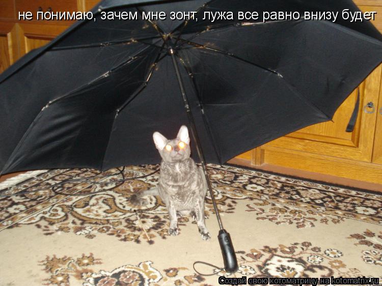 не понимаю, зачем мне зонт, лужа все равно внизу будет... Котоматрица: не понимаю, зачем мне зонт, лужа все равно внизу будет