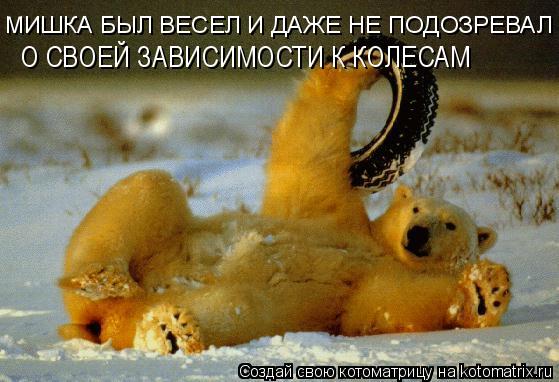 МИШКА БЫЛ ВЕСЕЛ И ДАЖЕ НЕ ПОДОЗРЕВАЛ О СВОЕЙ ЗАВИСИМОСТИ К КОЛЕСАМ... Котоматрица: МИШКА БЫЛ ВЕСЕЛ И ДАЖЕ НЕ ПОДОЗРЕВАЛ О СВОЕЙ ЗАВИСИМОСТИ К КОЛЕСАМ