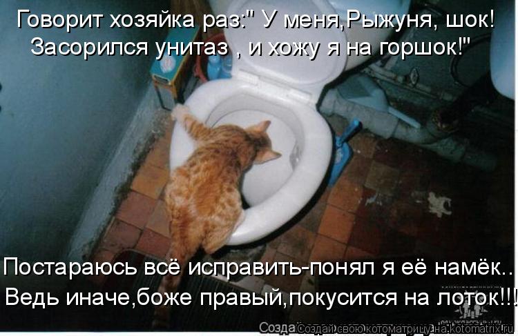 Говорит хозяйка раз:" У меня,Рыжуня, шок! Засорился унитаз , и хожу я на горшок!" Постараюсь всё испр... Котоматрица: Говорит хозяйка раз:" У меня,Рыжуня, шок! Засорился унитаз , и хожу я на горшок!" Постараюсь всё исправить-понял я её намёк... Ведь иначе,боже пр