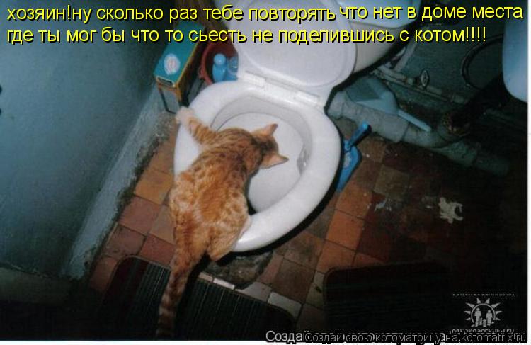 хозяин!ну сколько раз тебе повторять что нет в доме места где ты мог бы что то сьесть не поделившись... Котоматрица: хозяин!ну сколько раз тебе повторять что нет в доме места где ты мог бы что то сьесть не поделившись с котом!!!!