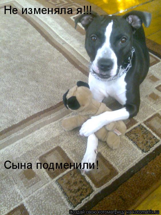 Котоматрица: Не изменяла я!!! Сына подменили!