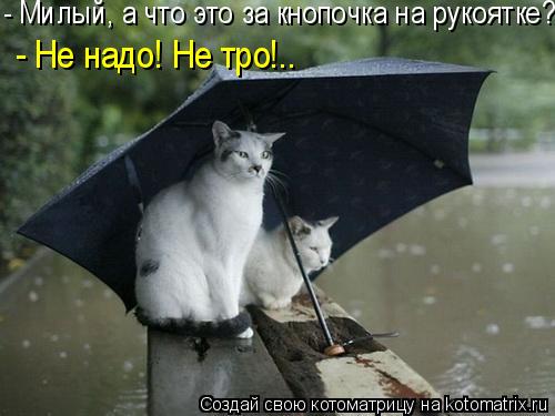 - Милый, а что это за кнопочка на рукоятке? - Не надо! Не тро!..... Котоматрица: - Милый, а что это за кнопочка на рукоятке? - Не надо! Не тро!..
