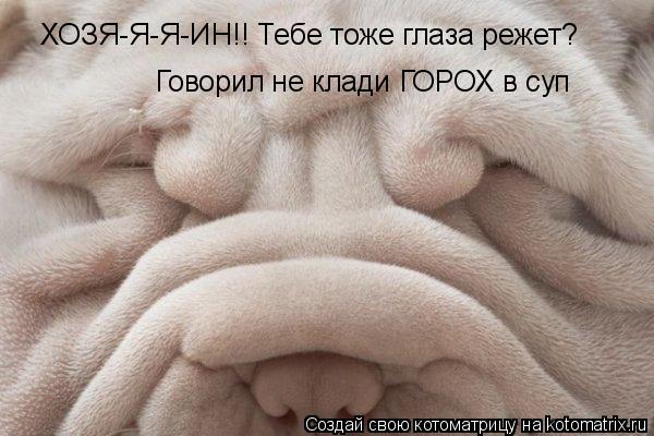 ХОЗЯ-Я-Я-ИН!! Тебе тоже глаза режет? Говорил не клади ГОРОХ в суп... Котоматрица: ХОЗЯ-Я-Я-ИН!! Тебе тоже глаза режет? Говорил не клади ГОРОХ в суп