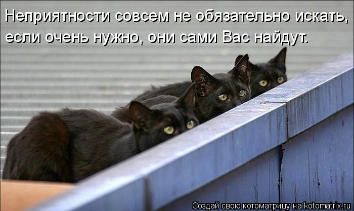 Котоматрица: Неприятности совсем не обязательно искать, если очень нужно, они сами Вас найдут.