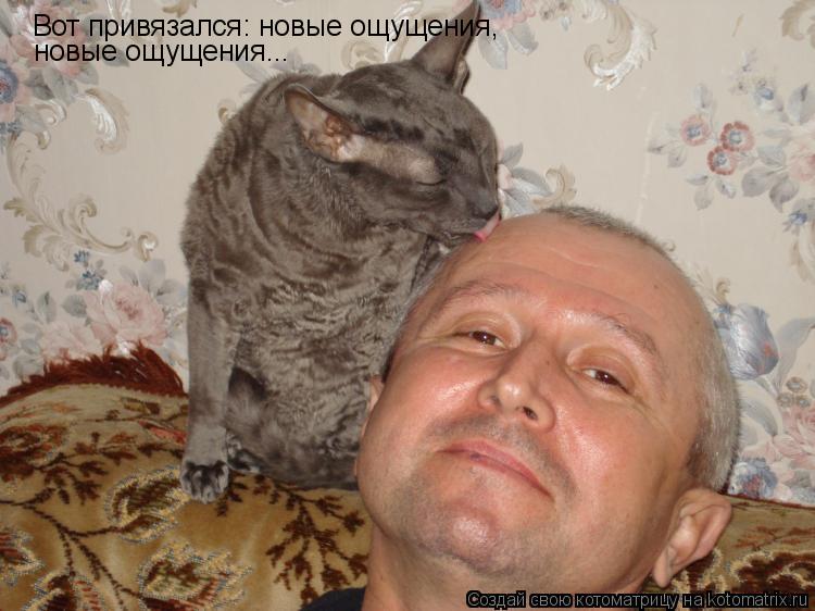 Вот привязался: новые ощущения, новые ощущения...... Котоматрица: Вот привязался: новые ощущения, новые ощущения...
