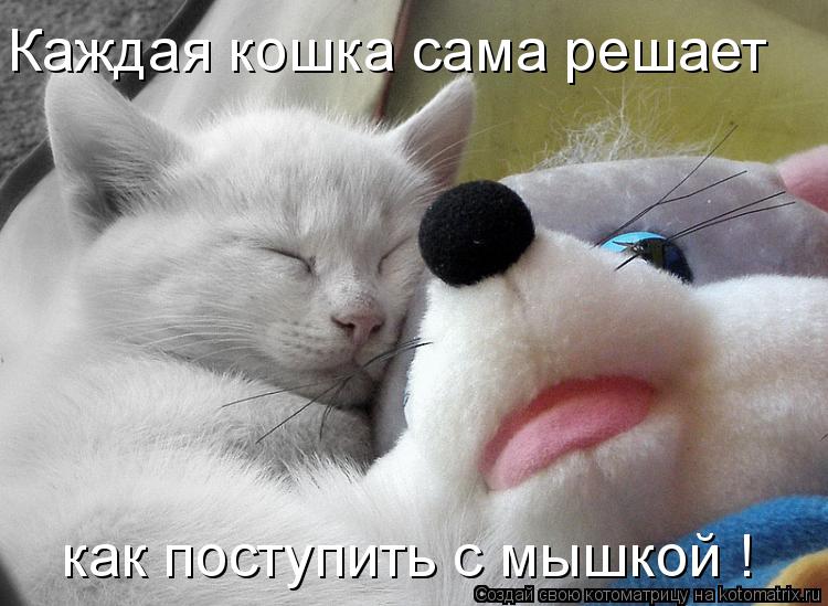 Каждая кошка сама решает как поступить с мышкой !... Котоматрица: Каждая кошка сама решает как поступить с мышкой !