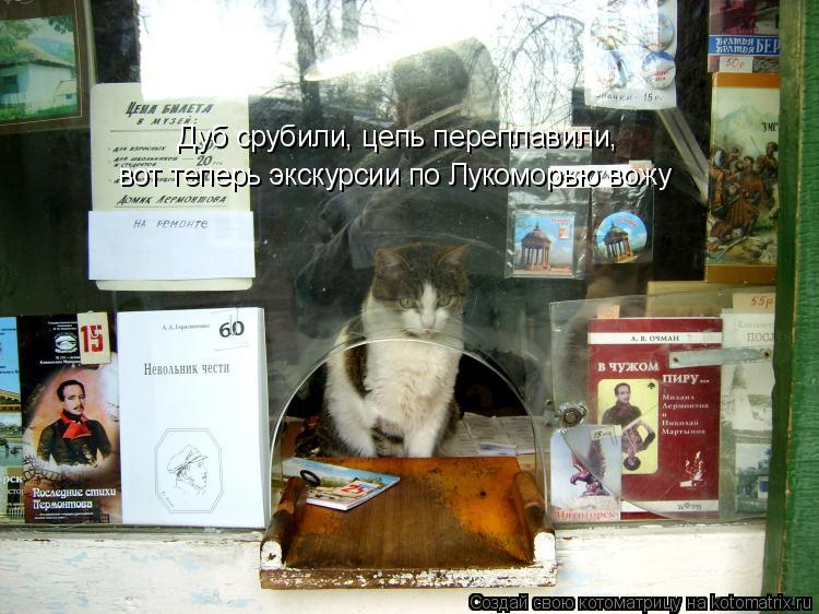 Дуб срубили, цепь переплавили, вот теперь экскурсии по Лукоморью вожу... Котоматрица: Дуб срубили, цепь переплавили, вот теперь экскурсии по Лукоморью вожу