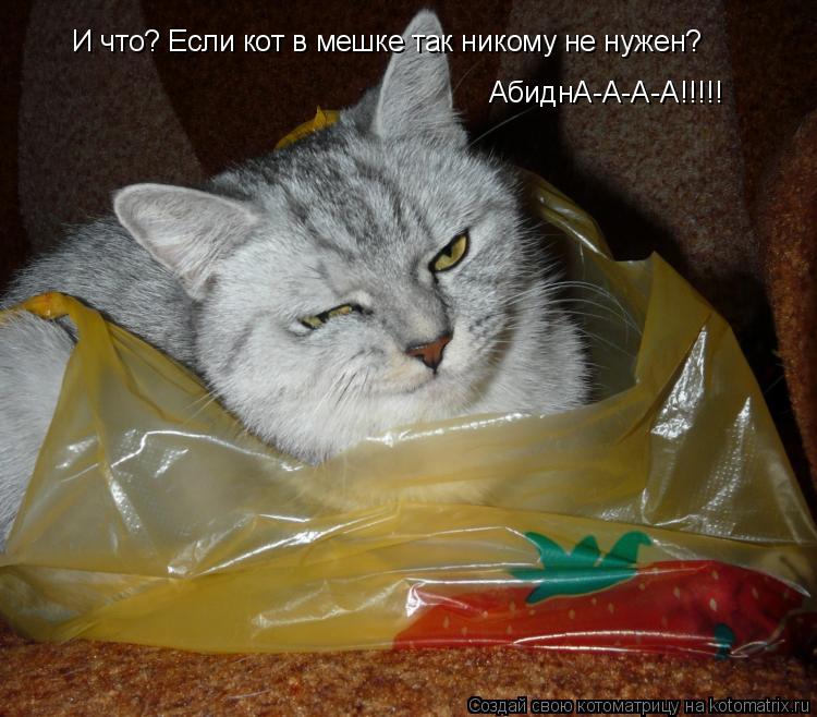 И что? Если кот в мешке так никому не нужен? АбиднА-А-А-А!!!!!... Котоматрица: И что? Если кот в мешке так никому не нужен? АбиднА-А-А-А!!!!!