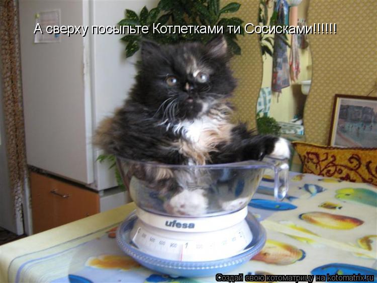 А сверху посыпьте Котлетками ти Сосисками!!!!!!... Котоматрица: А сверху посыпьте Котлетками ти Сосисками!!!!!!