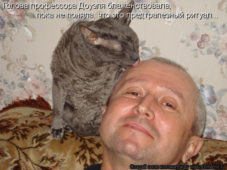 Голова профессора Доуэля блаженствовала, пока не поняла, что это предтрапезный ритуал...... Котоматрица: Голова профессора Доуэля блаженствовала, пока не поняла, что это предтрапезный ритуал...