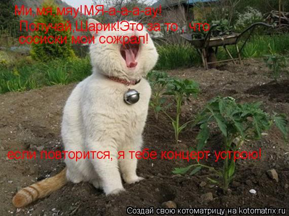 Ми,мя,мяу!МЯ-а-а-а-ау! Получай,Шарик!Это за то , что сосиски мои сожрал! если повторится, я тебе конц... Котоматрица: Ми,мя,мяу!МЯ-а-а-а-ау! Получай,Шарик!Это за то , что сосиски мои сожрал! если повторится, я тебе концерт устрою!