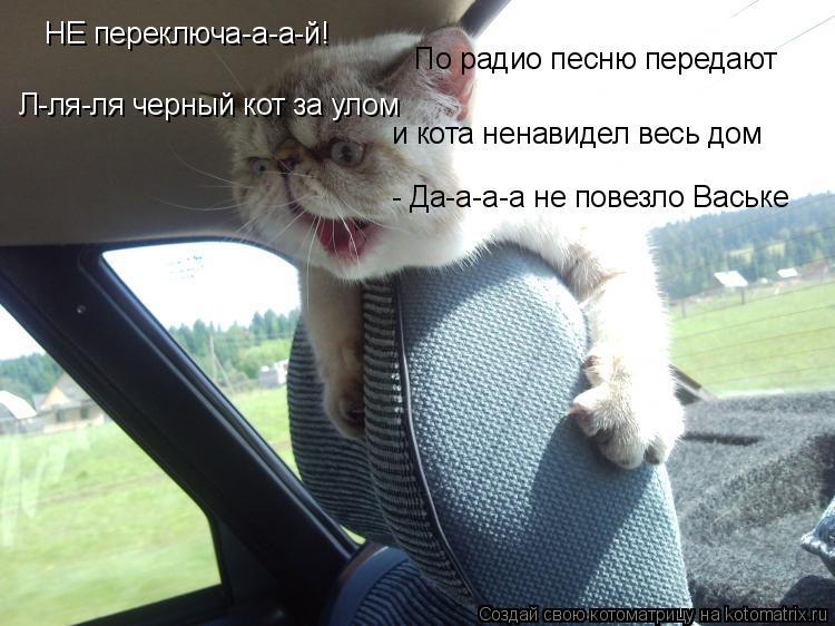 НЕ переключа-а-а-й! По радио песню передают Л-ля-ля черный кот за улом и кота ненавидел весь дом - Да... Котоматрица: НЕ переключа-а-а-й! По радио песню передают Л-ля-ля черный кот за улом и кота ненавидел весь дом - Да-а-а-а не повезло Ваське