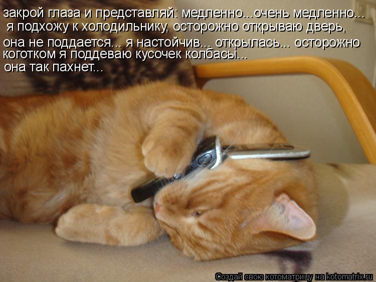 Котоматрица: закрой глаза и представляй: медленно...очень медленно... я подхожу к холодильнику, осторожно открываю дверь, она не поддается... я настойчив... 