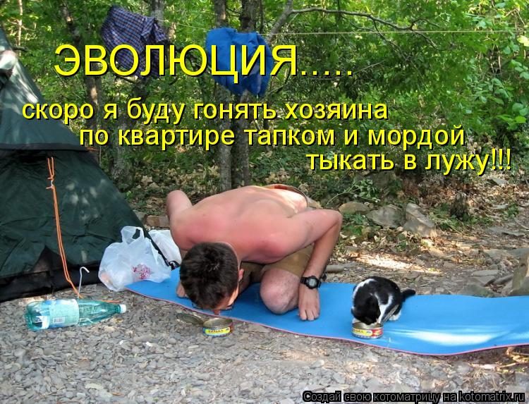 Котоматрица: ЭВОЛЮЦИЯ..... скоро я буду гонять хозяина  по квартире тапком и мордой  тыкать в лужу!!!