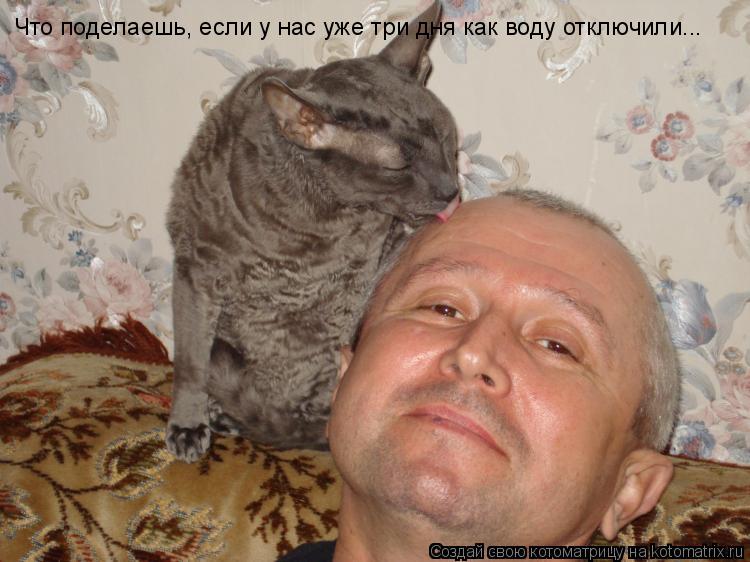 Что поделаешь, если у нас уже три дня как воду отключили...... Котоматрица: Что поделаешь, если у нас уже три дня как воду отключили...