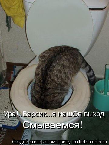 Ура!..Барсик...я нашОл выход Смываемся!... Котоматрица: Ура!..Барсик...я нашОл выход Смываемся!