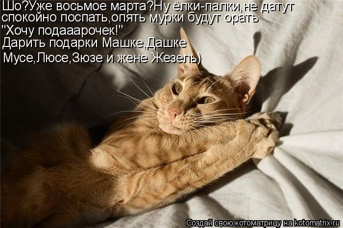 Котоматрица: Шо?Уже восьмое марта?Ну ёлки-палки,не датут  спокойно поспать,опять мурки будут орать "Хочу подааарочек!" Дарить подарки Машке,Дашке Мусе,Лю