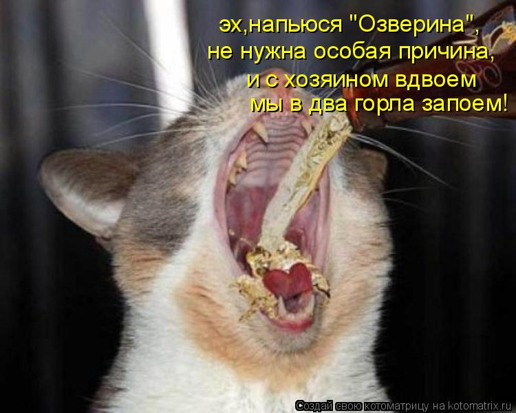 Котоматрица: эх,напьюся "Озверина", не нужна особая причина, и с хозяином вдвоем мы в два горла запоем!