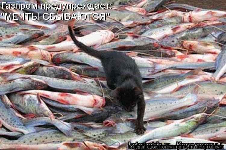 Котоматрица: Газпром предупреждает: "МЕЧТЫ СБЫВАЮТСЯ"