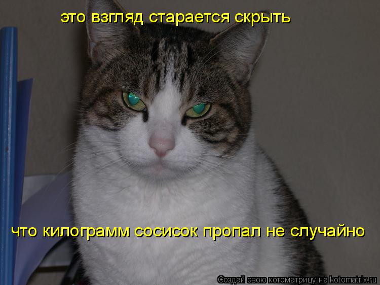 Котоматрица: это взгляд старается скрыть что килограмм сосисок пропал не случайно