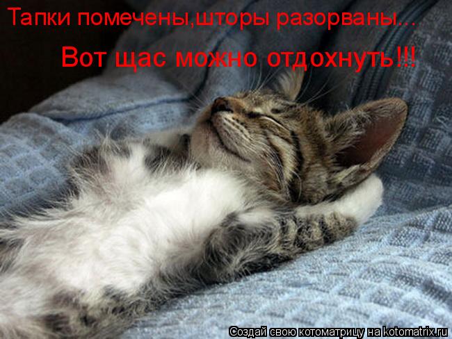 Котоматрица: Тапки помечены,шторы разорваны... Вот щас можно отдохнуть!!!