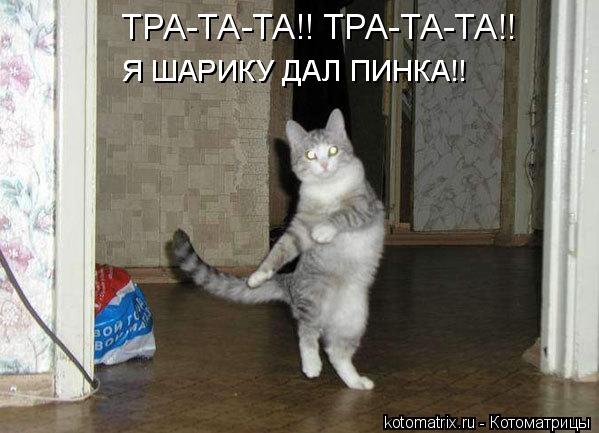 Котоматрица: ТРА-ТА-ТА!! ТРА-ТА-ТА!! Я ШАРИКУ ДАЛ ПИНКА!! Я ШАРИКУ ДАЛ ПИНКА!!