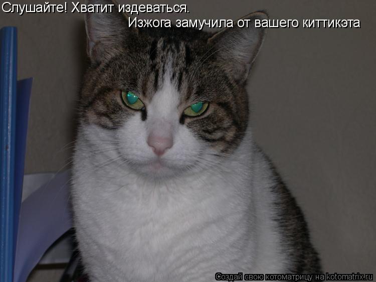 Котоматрица: Слушайте! Хватит издеваться. Изжога замучила от вашего киттикэта