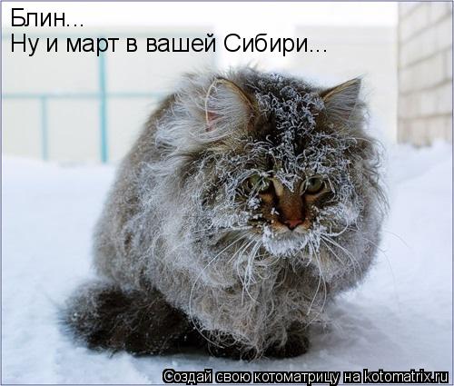 Котоматрица: Блин... Ну и март в вашей Сибири...
