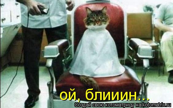 Котоматрица: ой, блииин...