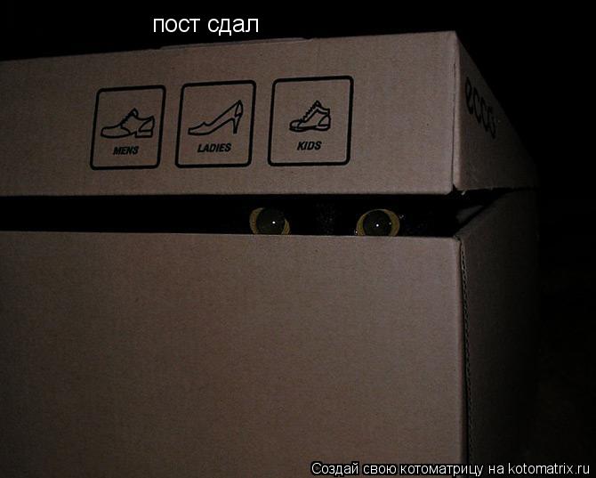 Котоматрица: пост сдал пост принял