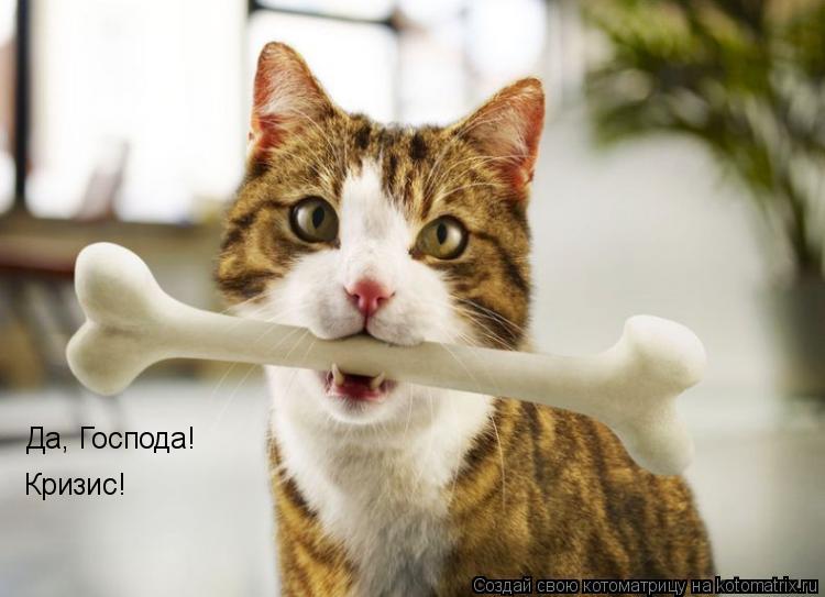 Котоматрица: Да, Господа! Кризис!