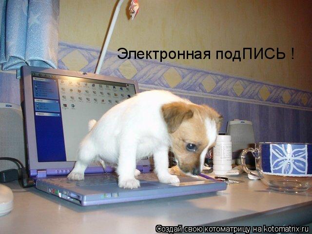 Котоматрица: Электронная подПИСЬ !